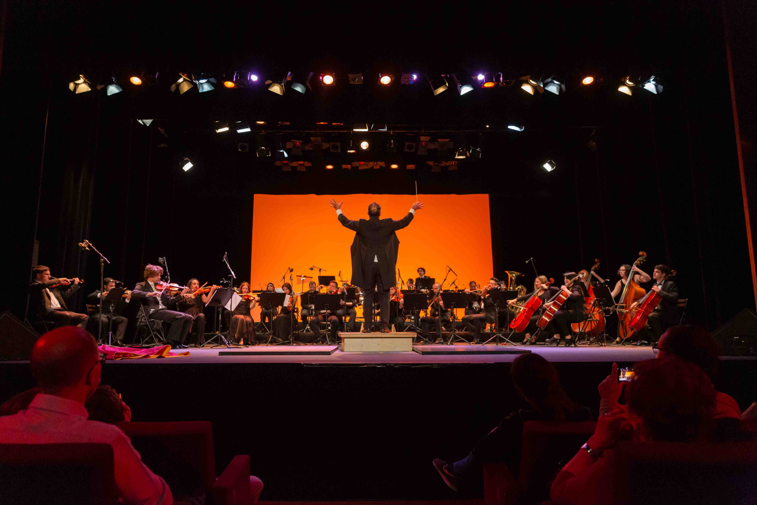 The Royal Gag Orchestra escena 2